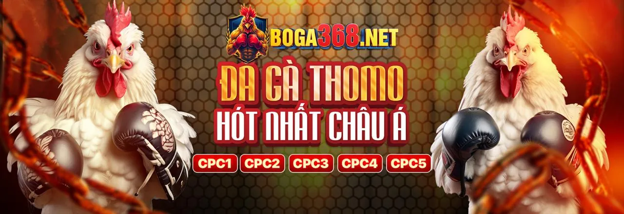 Hình ảnh chính Blog K8vina Chính Thức